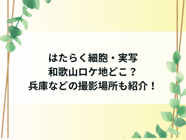 はたらく細胞実写和歌山ロケ地どこ？兵庫などの撮影場所も紹介！